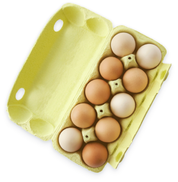 Eggs